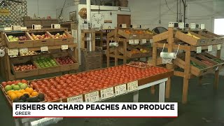 South Carolina peach season is here