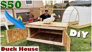 $50 DIY Duck House / Coop (Easy Build)