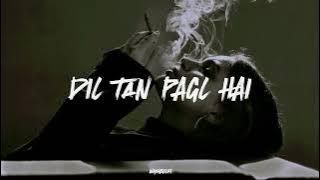 Dil Tan Pagal Hai - Soulful Punjabi Song | Slowed   Reverb Version | Naseebo Lal | Relaxing Vibes