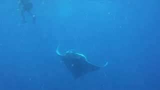DSCF1130