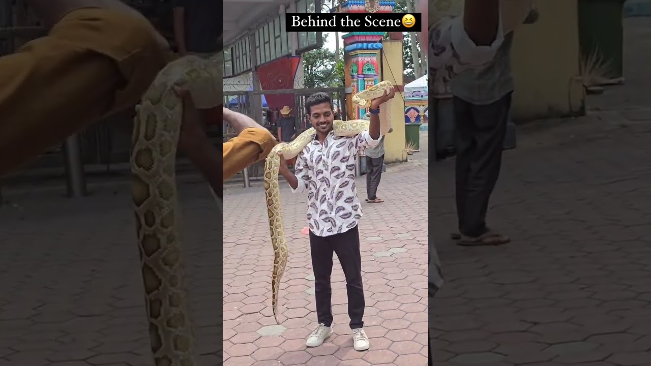 SNAKE ON SHOULDER | MALAYSIA MURUGAN TEMPLE | KUALA LAMPUR | TRAVEL VLOG | NATURE 