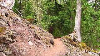Virtual Hike Beautiful Forest To Waterfall - Actual Sounds 23Min