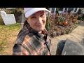 Iseli Plant Haul, Perennial Cutback & Front Porch Clear Out // Dirt and Dish