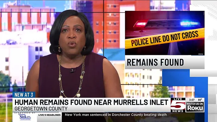 VIDEO: Human remains found in Georgetown County