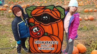 Kids Picking Pumpkins Down On The Farm 2018