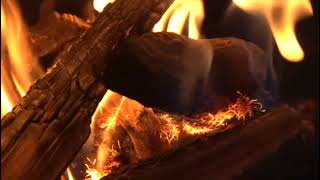 Acr Neo 3P Contemporary Gas Stove