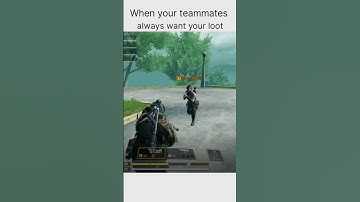 Average teammates in Codm | TS44