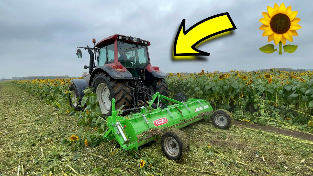 #640- Testujemy mulczer Talex Leo 320-  1,5m poplon nie zrobił na nim wrażenia!