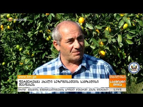 ფერმერებმა  ახალი სეზონისათვის სამზადისი შეაფასეს