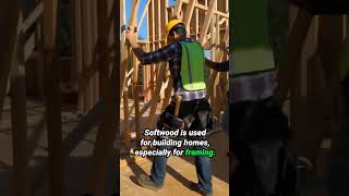 Softwood Won't Cut It! #woodworking #lumber