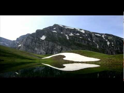 Max Cooper - Simplexity