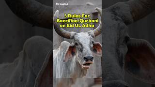 5 Rules for sacrifice on Eid UL Adha