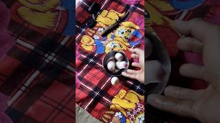 home made vlog viral ho gya first vlog #new #home #vlog....