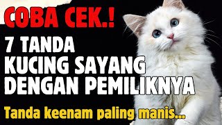 🛑 SUBHANALLAH..!! BERIKUT 7 TANDA YANG MEMBUKTIKAN KUCING SAYANG DENGAN ANDA