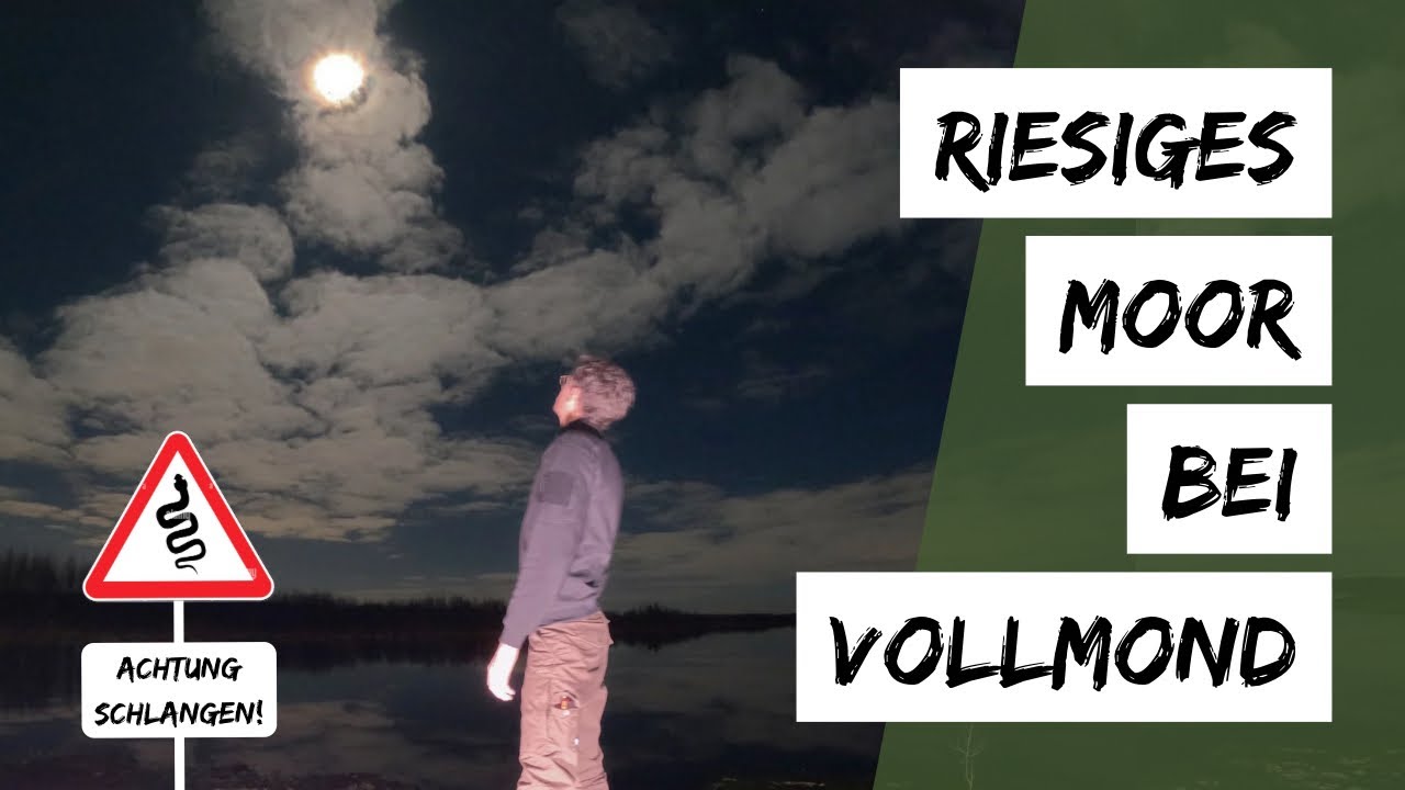 Achtung Schlangen! Wanderung durch ein riesiges Moor bei Vollmond