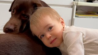 Adorable Baby Boy Checks Dog's Health. Cutest Moment!
