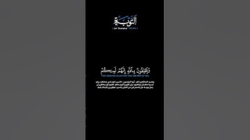 سورة التوبة الآية 56-59 الشيخ المعيقلي#quran #guidance #قرآن #اكسبلور #راحة_نفسية #لايك #ترند