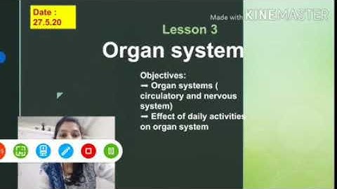Organ system # L2# class 3A #27 .5.20@SFS Narengi