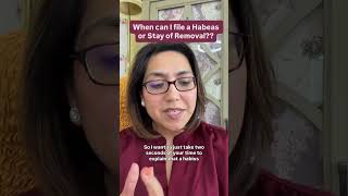 When Can I File a Habeas Corpus Petition or a Stay of Removal  Immigration Law Explained