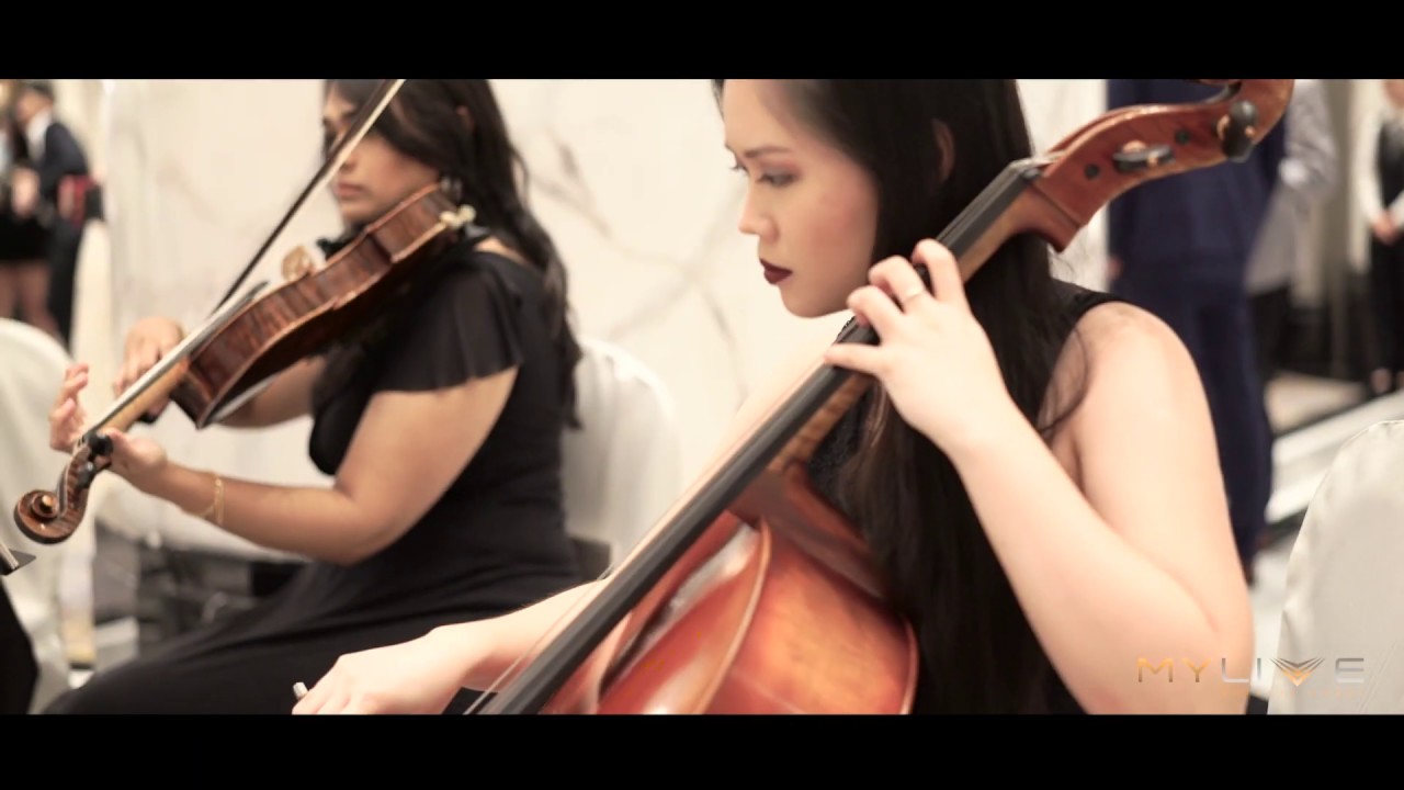 【Mylive Entertainment】String Quartet