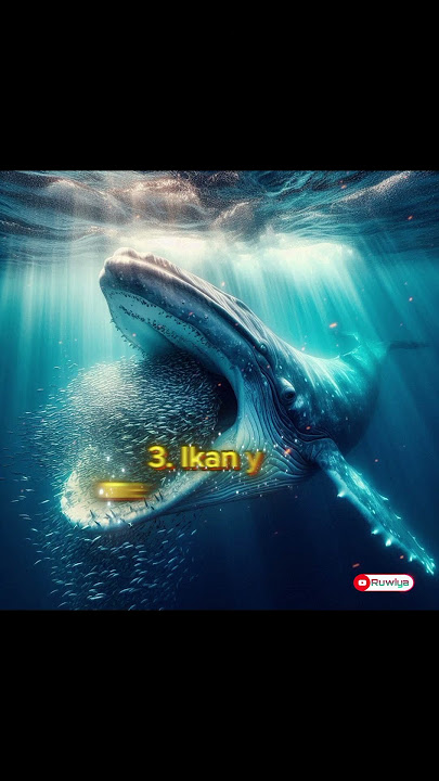 4 Hewan yang dijamin masuk Surga#unta#anjing#ikan#buraq#kajianislam#motivation#shorts