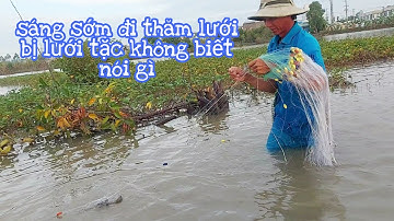 Giăng Lưới Mùa Nước Nổi,thăm luồn lưới qua đêm bất ổn | vui miền tây vlog