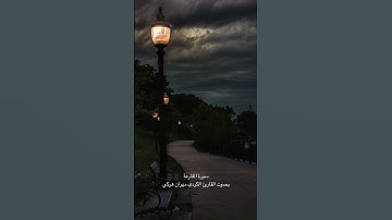 سورة القارعة / بصوت القارئ الكردي مهران هركي