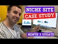 Pet Niche Site Case Study - Month 3 Update - Content Cost, What happened after the Dec Google Update