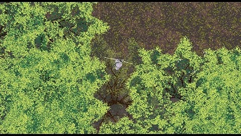 Auto-Generated Forest Edges in Godot