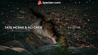 Tate McRae & Ali Gatie - lie to me bassboosted