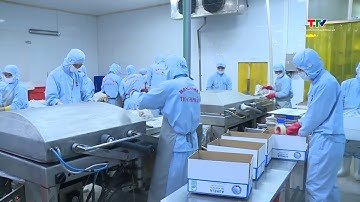 Các doanh nghiệp gia tăng hoạt động xuất khẩu nông, lâm, thuỷ sản | NSTH