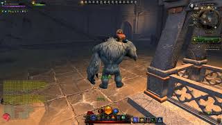 Neverwinter: MOD16 the new Paladin