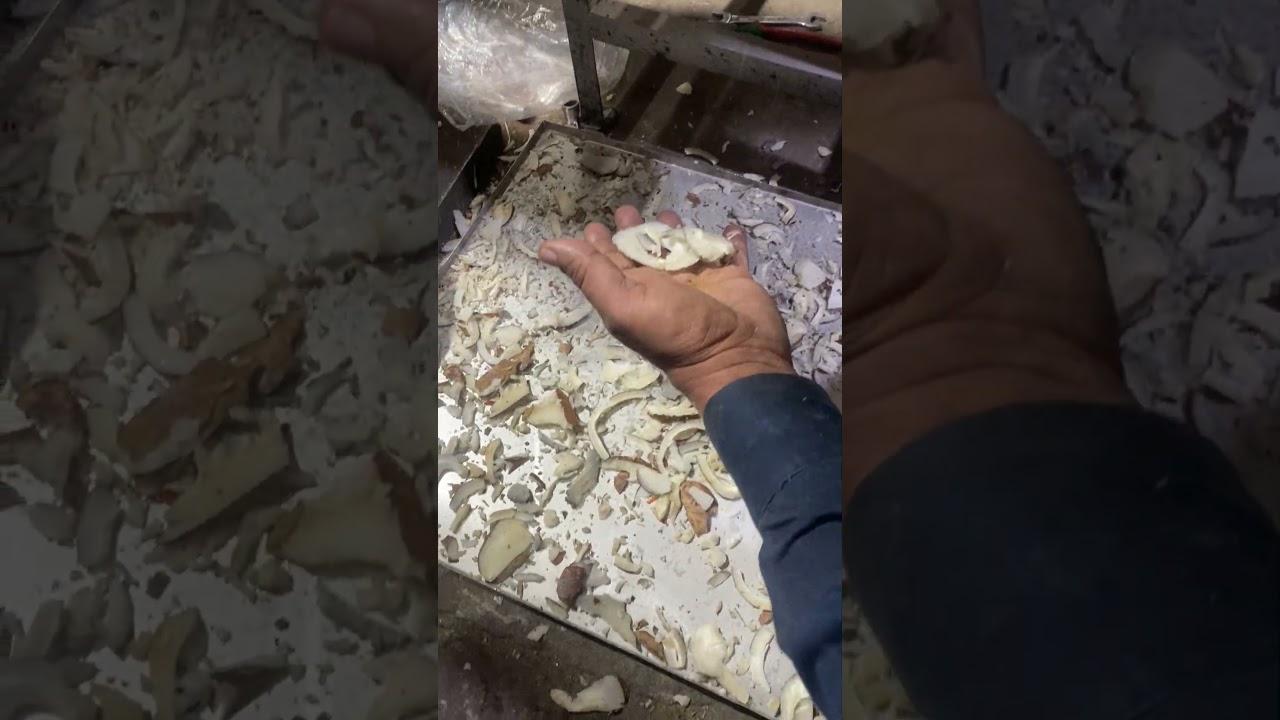 Coconut chips making machine | punjab engineering Indore 9098587992
