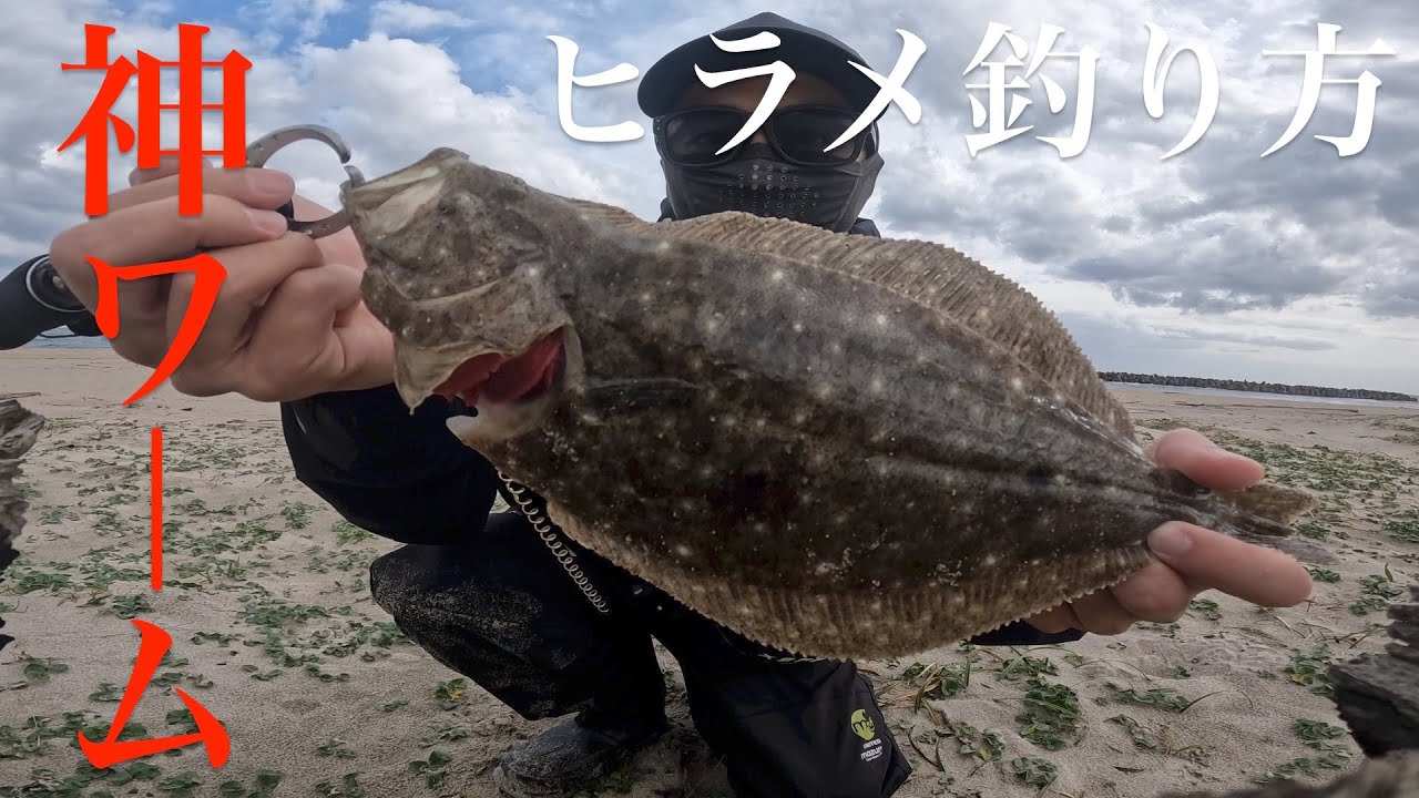 ヒラメワーム】ヒラメが超釣れる！サーフでおすすめ高実績ワーム！連続