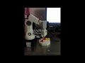 3D printed 6 axis robot