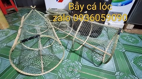 Bán bẫy cá lóc, bán lợp cá lóc, bán bẫy cá đa năng. Zalo 0936059090 ship toàn quốc.
