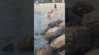 Man Jumps into Water and Catches Octopus With Bare Hands