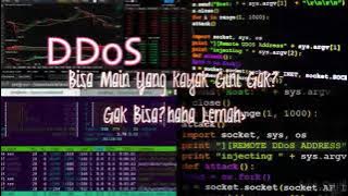 Cocok buat story wa versi hacker