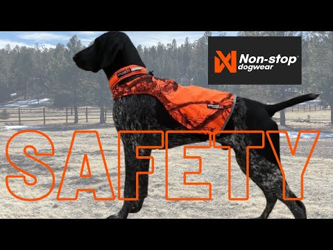 Video: Reflecterende veiligheidsuitrusting voor uw hond