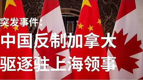 野猫论政 539：突发事件 - 中国反击加拿大，驱逐驻上海领事 - 天天要闻