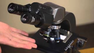 Carson Optical Professional Biological Microscope MS-160 HD