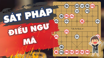 Bài 14. Sát Pháp Điếu Ngư Mã | Sát Pháp Cờ Tướng Mới Nhất