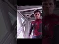 Spiderman edit  fw