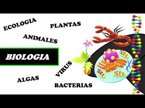 Vídeo: Diferencia Entre Ciencia Física Y Biológica