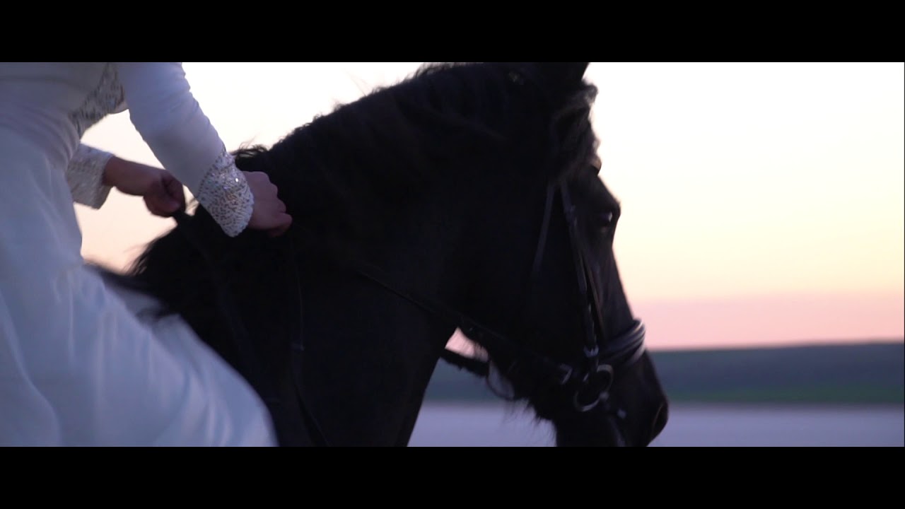 Sefamerve is 6 Years Old !