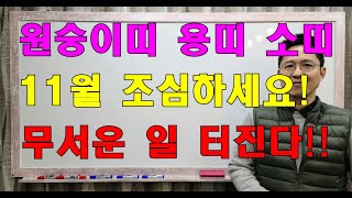 원숭이띠, 용띠, 소띠, 11월 무서운 일 터진다!!  #사주팔자 #명리학 #운세 #작명