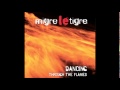 Migre Le Tigre - Dance