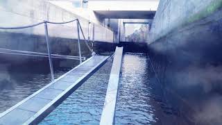 MELRES- PORTO »»»» OPORTO YACHTS CHARTER