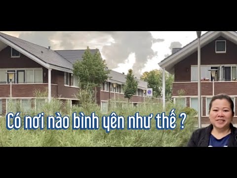 Video: Một "người Hà Lan" Khác