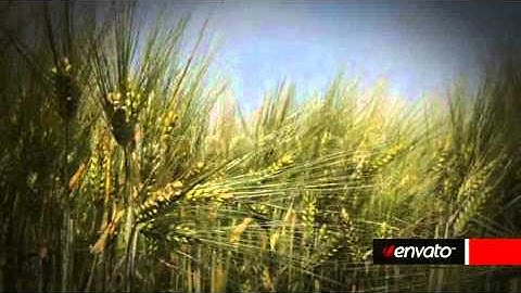 After Effects Project Files  Clean Lower Thirds   VideoHive